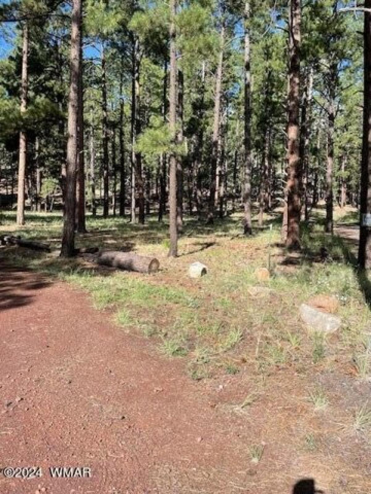 Picture of Residential Land For Sale in Greer, Arizona, United States