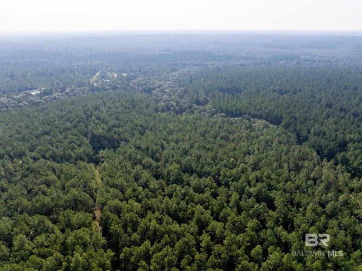 Picture of Residential Land For Sale in Bay Minette, Alabama, United States