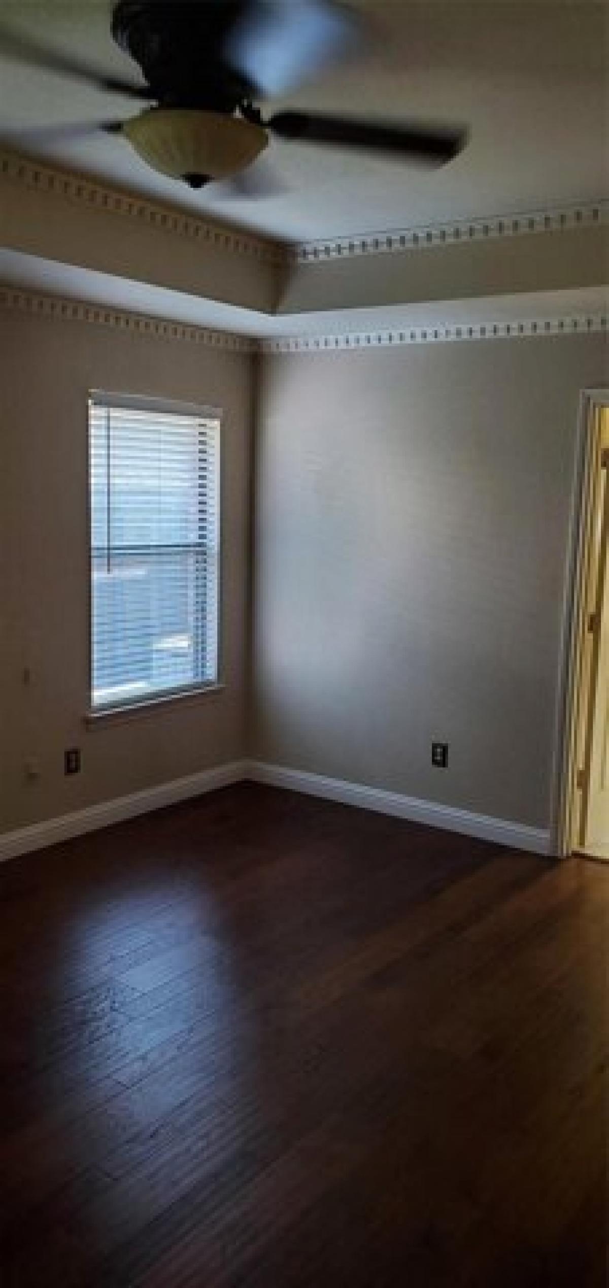 Picture of Home For Rent in Bedford, Texas, United States