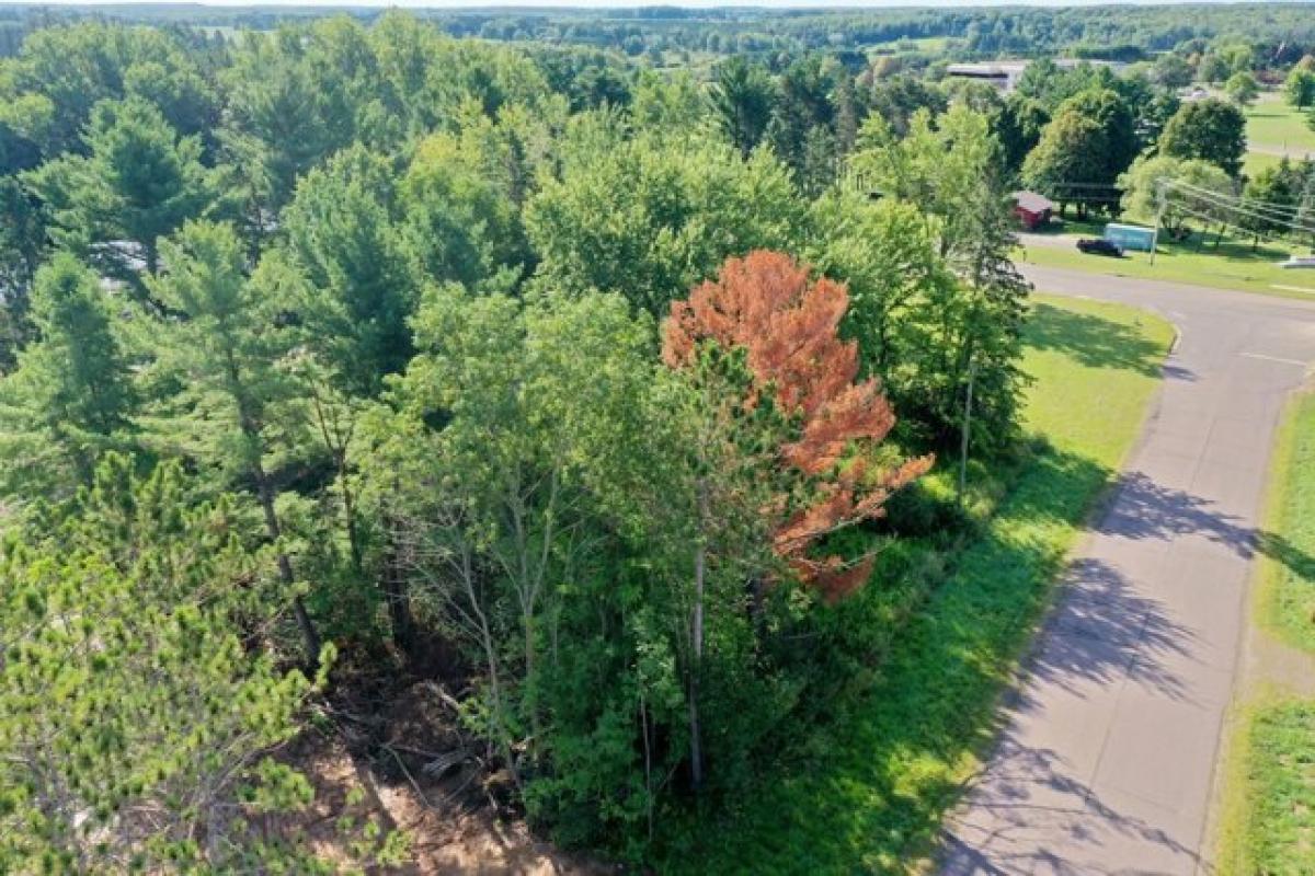 Picture of Residential Land For Sale in Medford, Wisconsin, United States