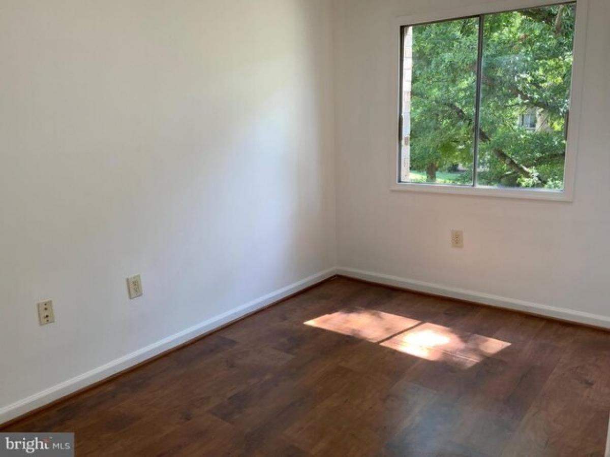 Picture of Home For Rent in Silver Spring, Maryland, United States