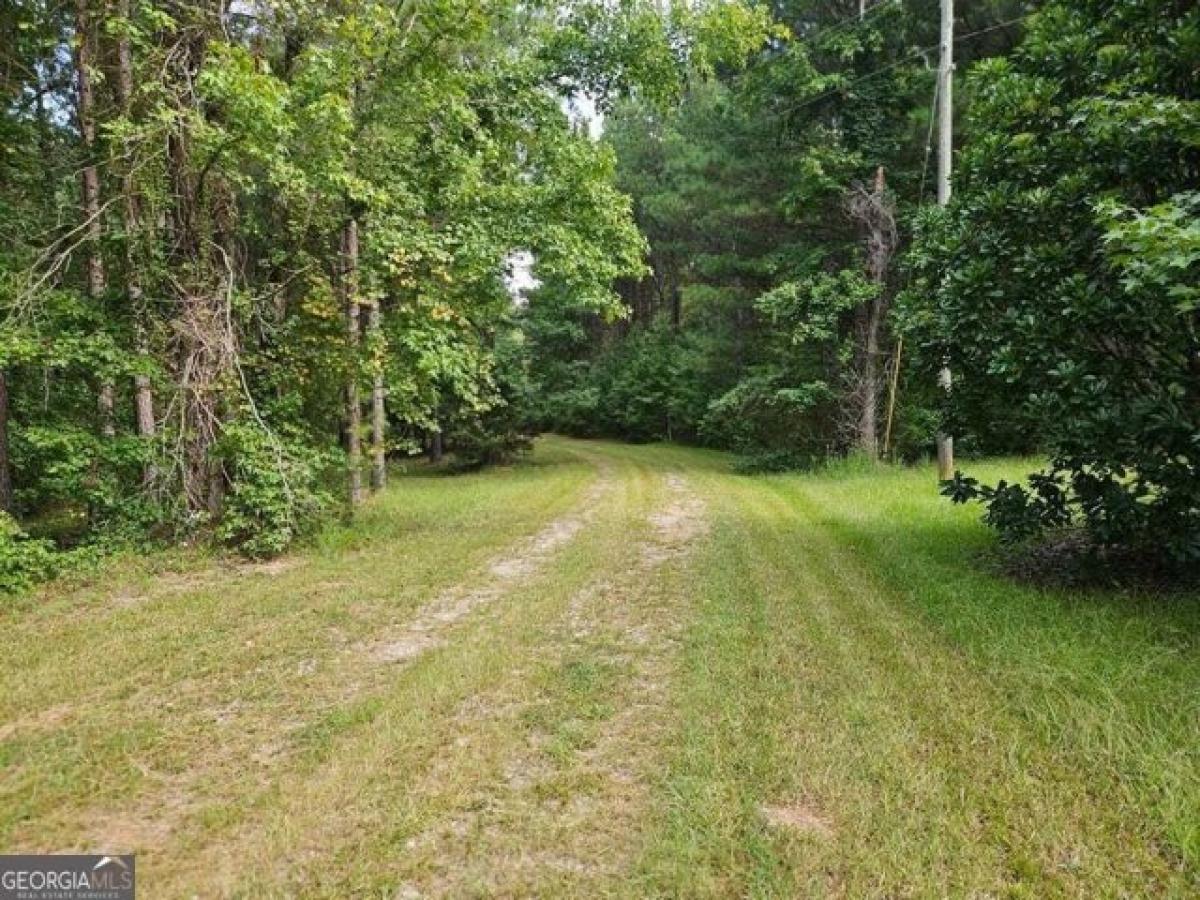 Picture of Residential Land For Sale in Washington, Georgia, United States