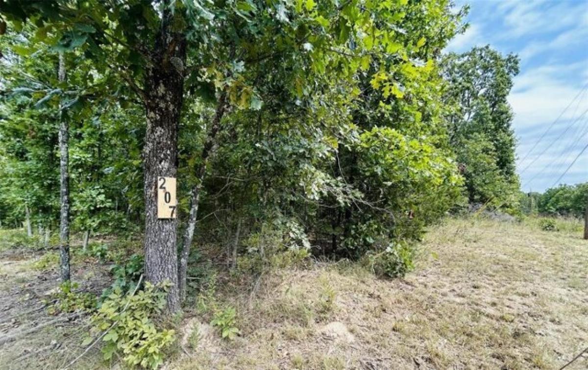 Picture of Residential Land For Rent in Cuba, Missouri, United States