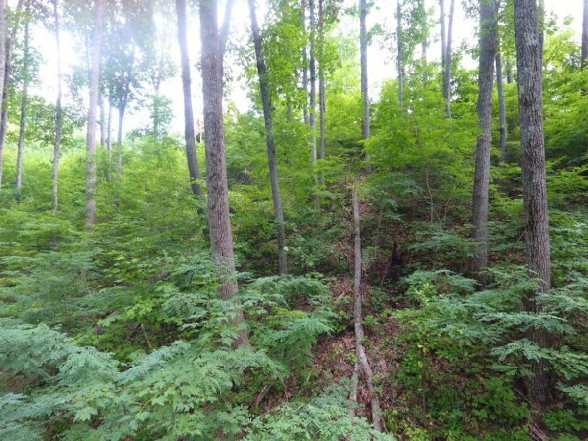 Picture of Residential Land For Sale in Gatlinburg, Tennessee, United States