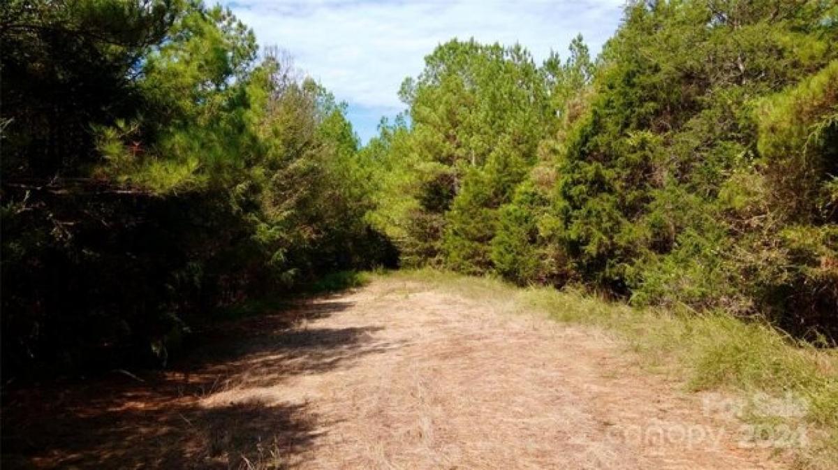 Picture of Residential Land For Sale in Chester, South Carolina, United States