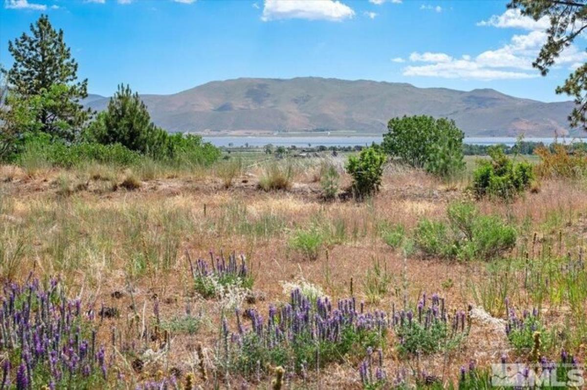 Picture of Residential Land For Sale in Washoe Valley, Nevada, United States