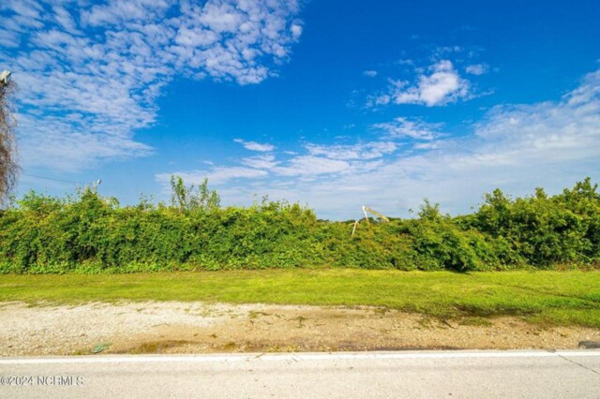 Picture of Residential Land For Sale in Marshallberg, North Carolina, United States