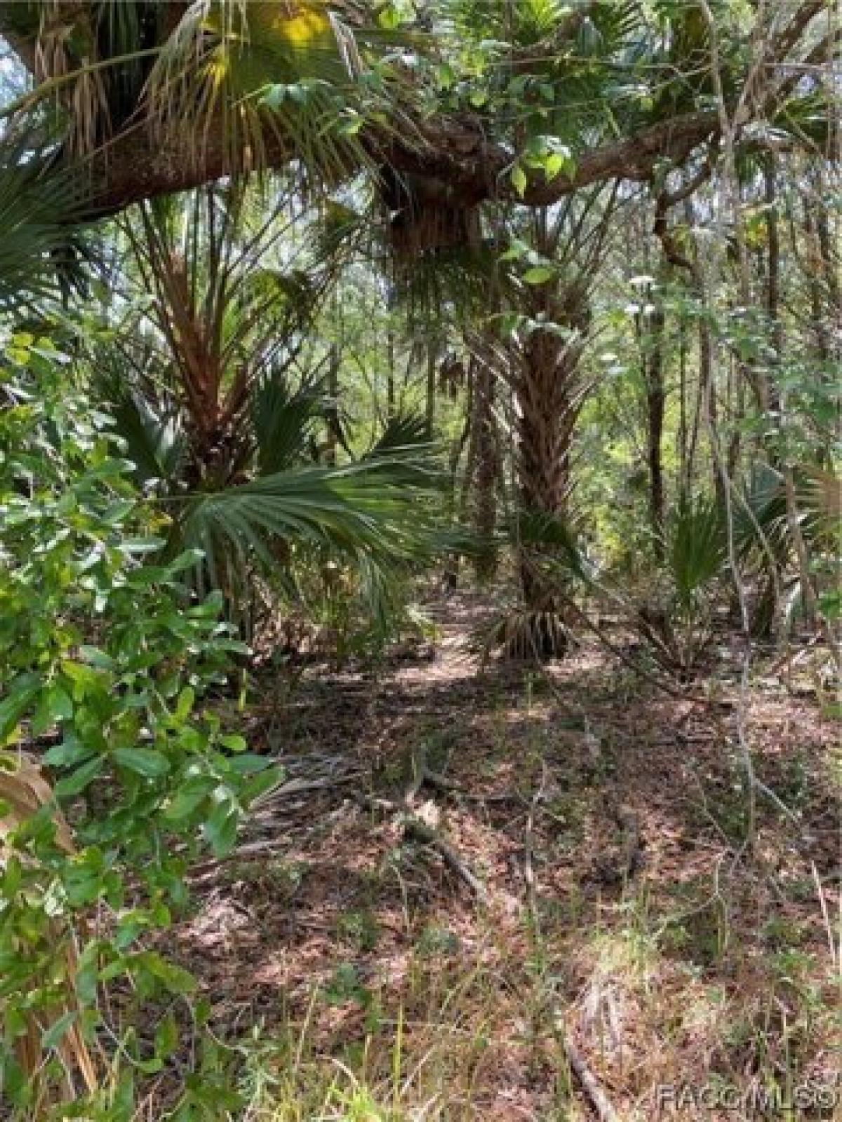 Picture of Residential Land For Sale in Hudson, Florida, United States