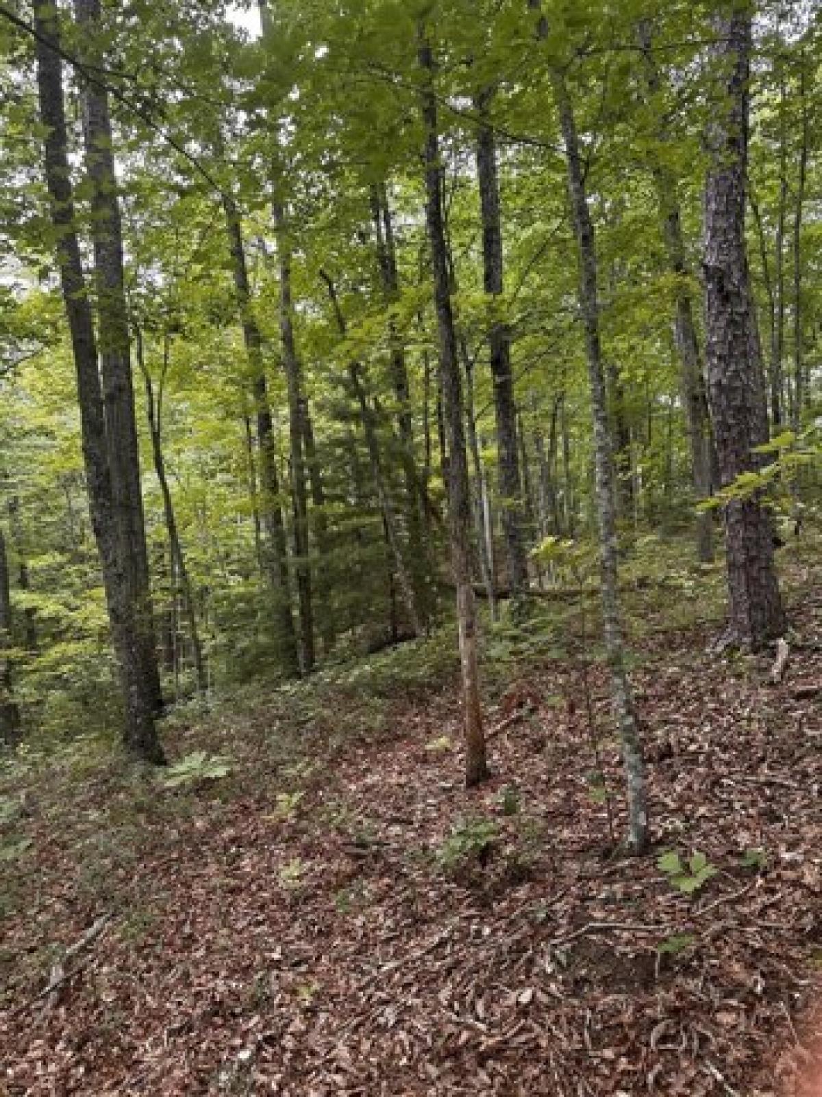 Picture of Residential Land For Sale in Cosby, Tennessee, United States