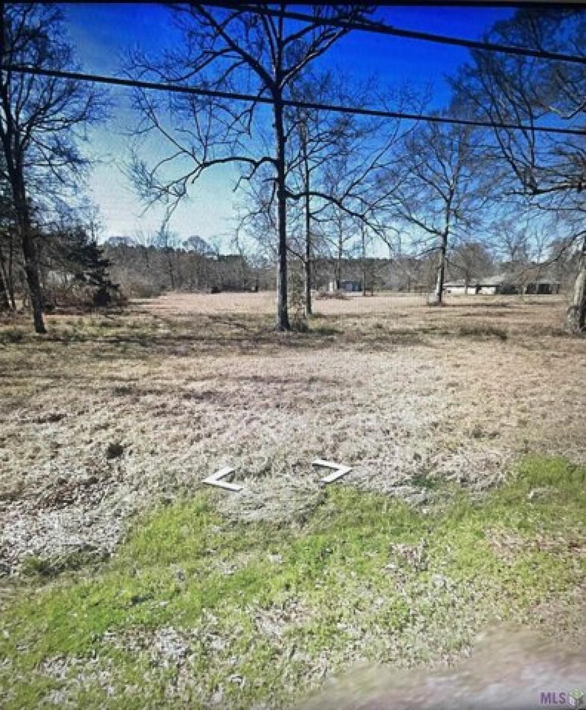 Picture of Residential Land For Sale in Denham Springs, Louisiana, United States