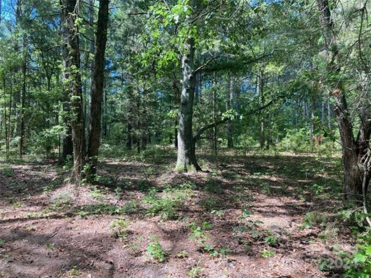 Picture of Residential Land For Sale in Morven, North Carolina, United States