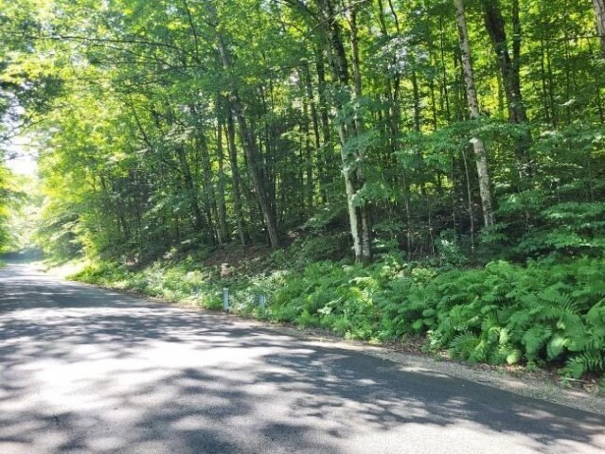 Picture of Residential Land For Sale in Cummington, Massachusetts, United States