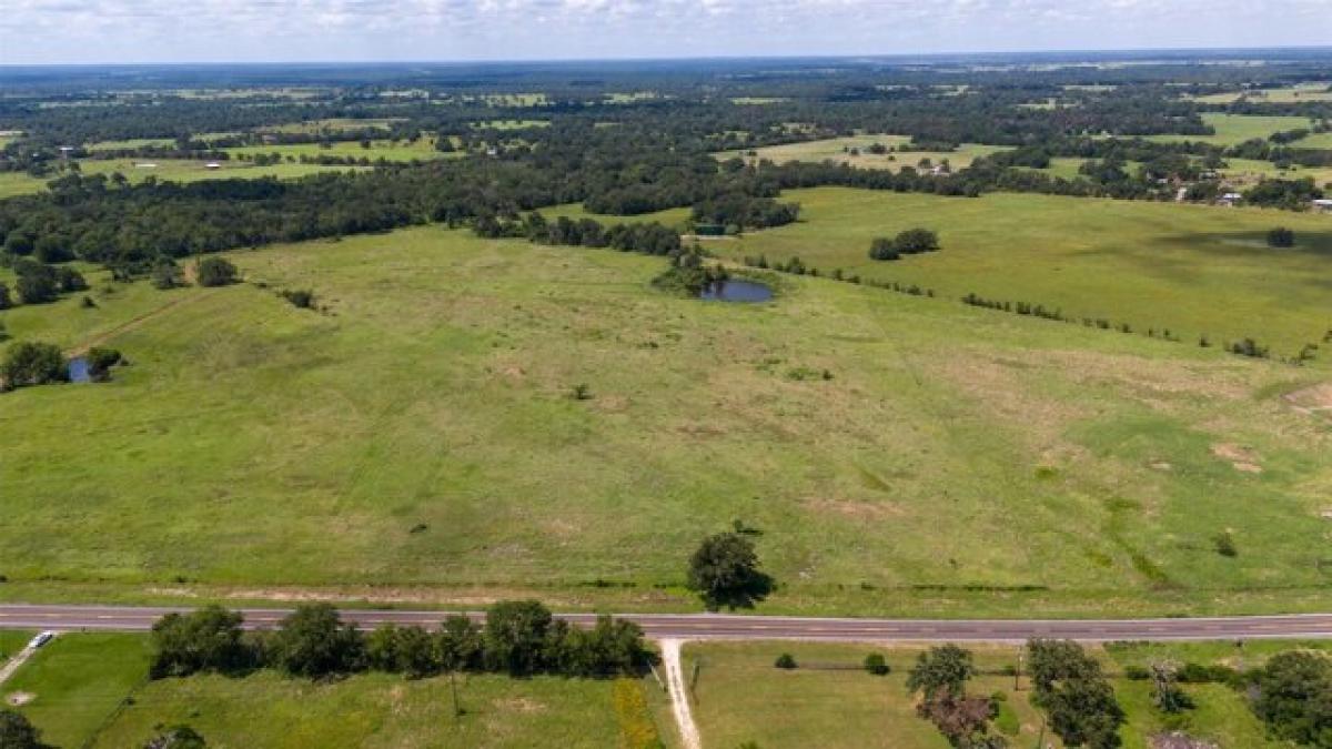 Picture of Residential Land For Sale in Madisonville, Texas, United States