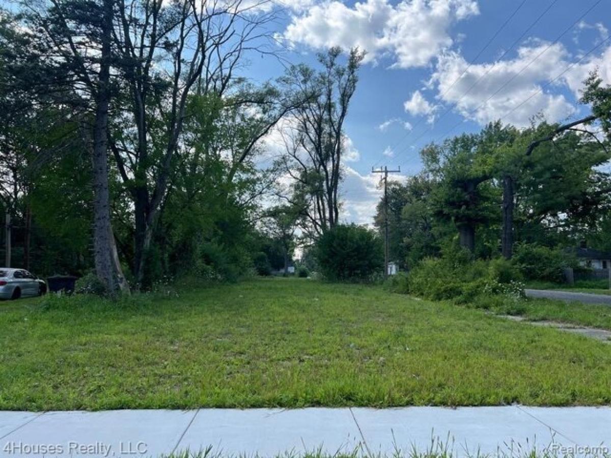 Picture of Residential Land For Rent in Detroit, Michigan, United States