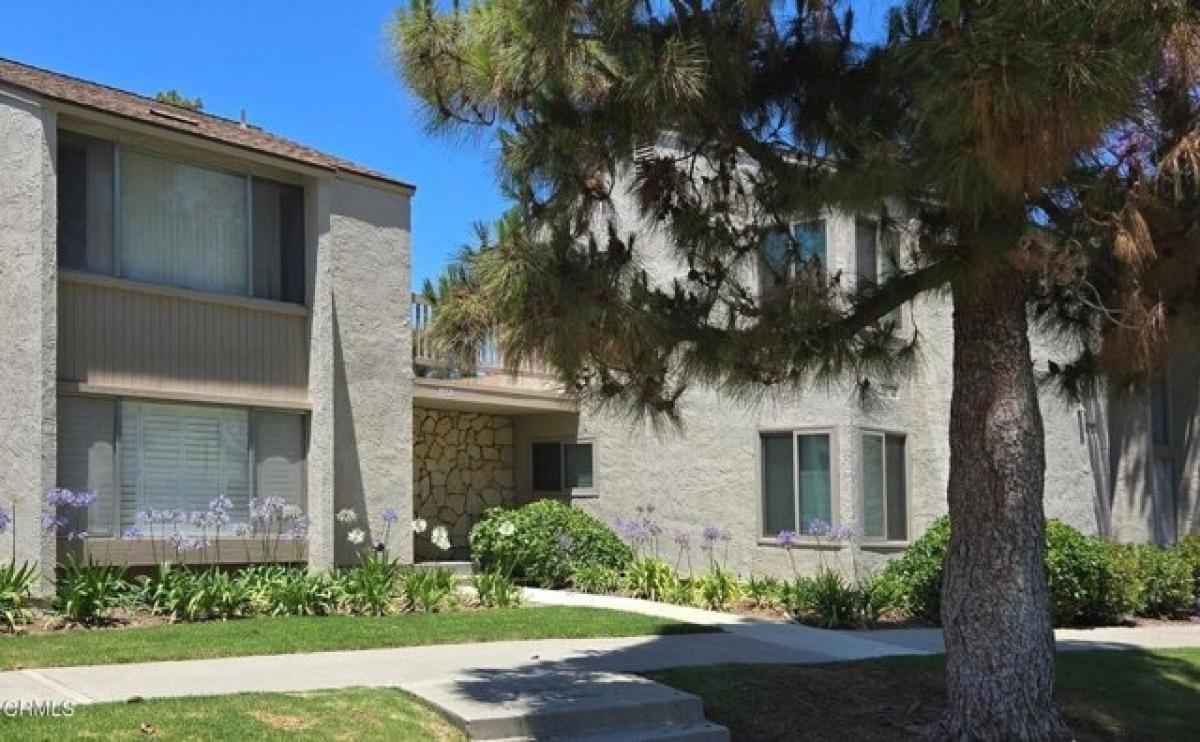 Picture of Home For Rent in Ventura, California, United States