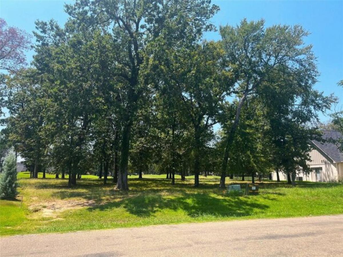 Picture of Residential Land For Sale in Mabank, Texas, United States