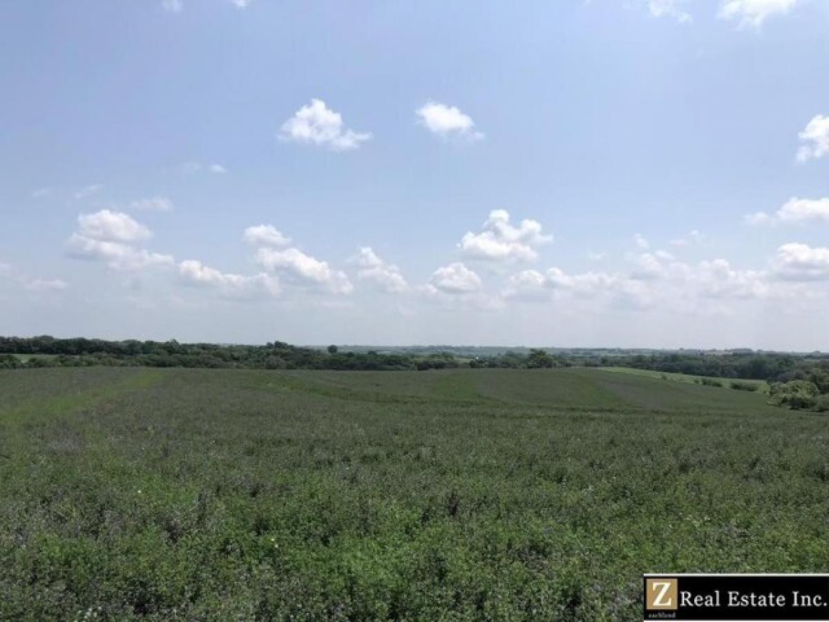 Picture of Residential Land For Sale in Bruno, Nebraska, United States