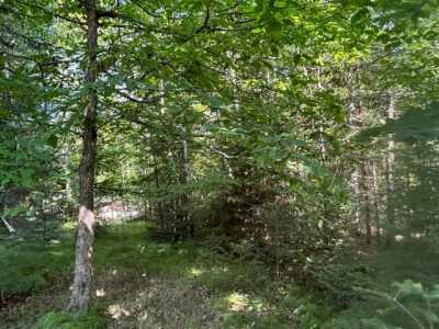 Residential Land For Sale in Three Lakes, Wisconsin