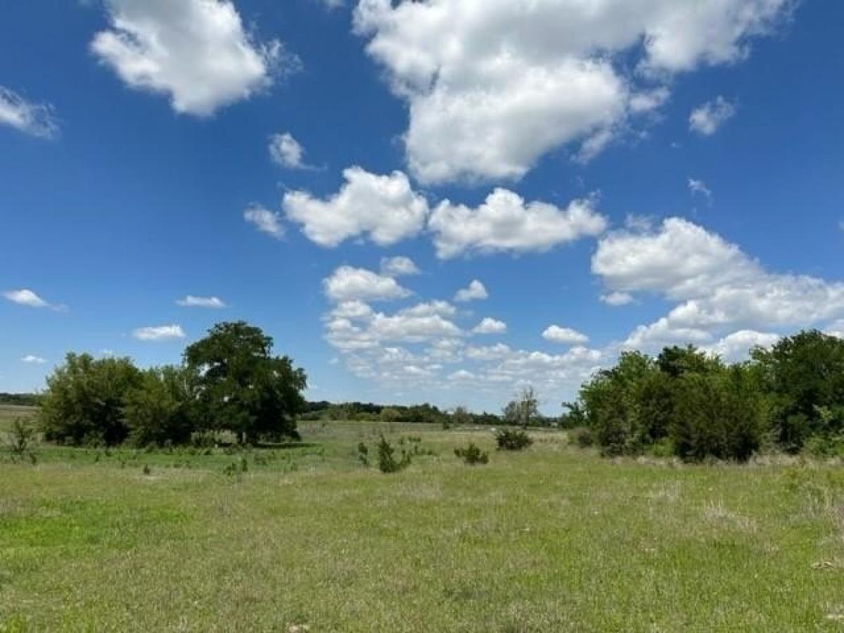 Picture of Residential Land For Sale in Briggs, Texas, United States