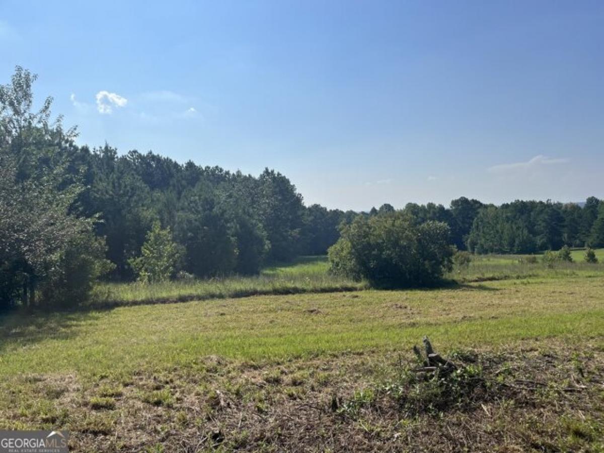 Picture of Residential Land For Sale in Roberta, Georgia, United States