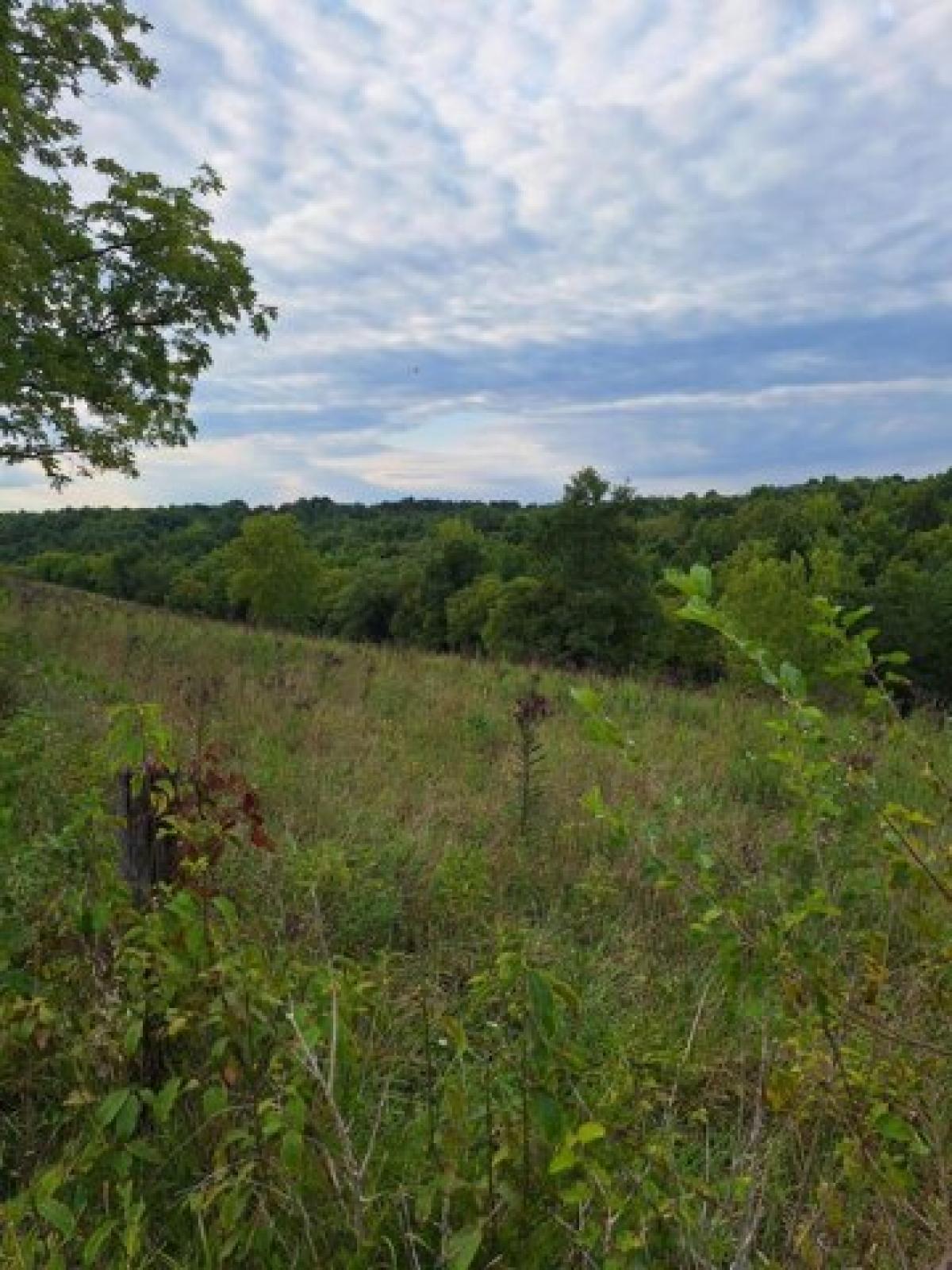 Picture of Residential Land For Sale in Corinth, Kentucky, United States