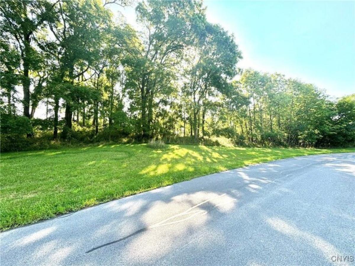 Picture of Residential Land For Sale in Auburn, New York, United States