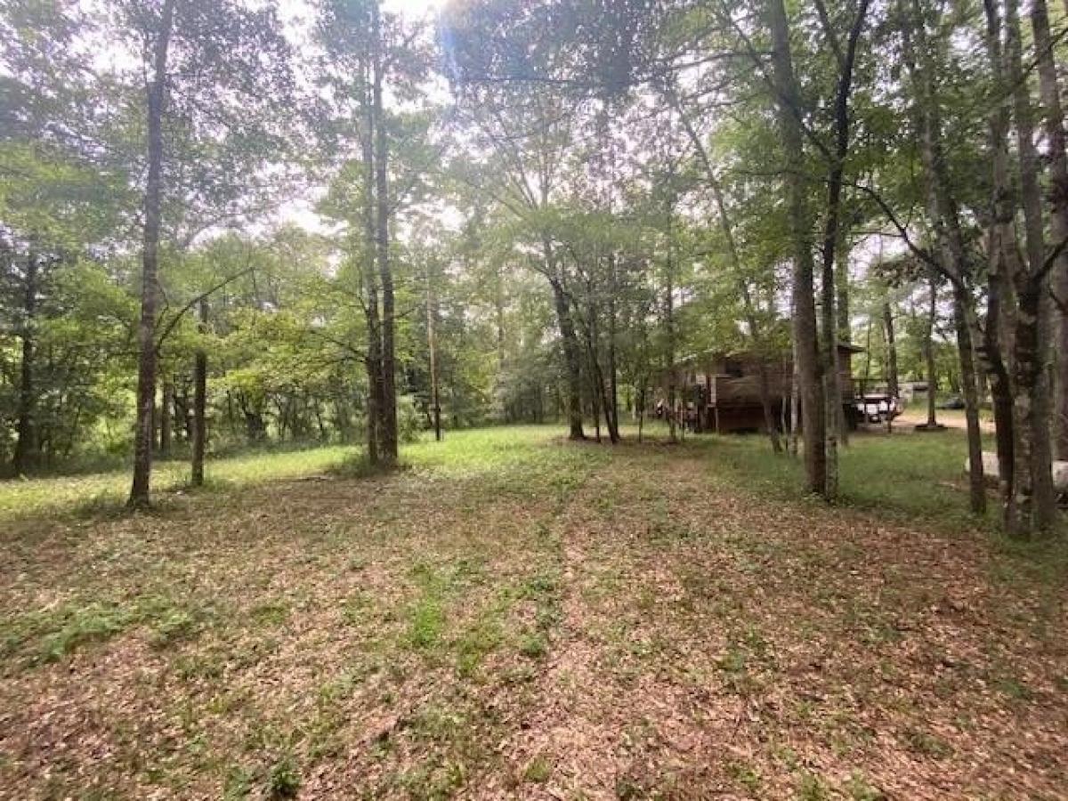 Picture of Residential Land For Sale in Tylertown, Mississippi, United States