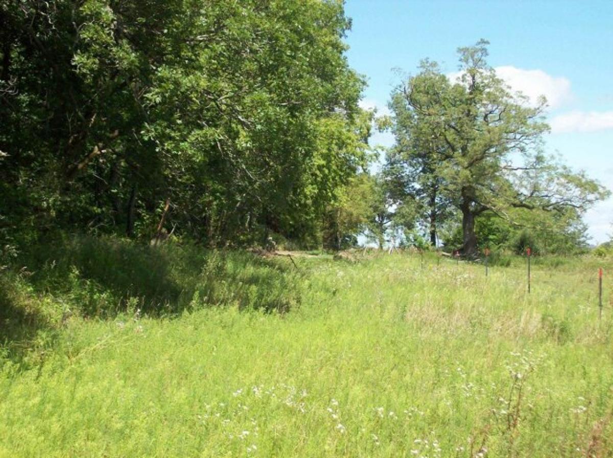 Picture of Residential Land For Sale in Dalton, Wisconsin, United States