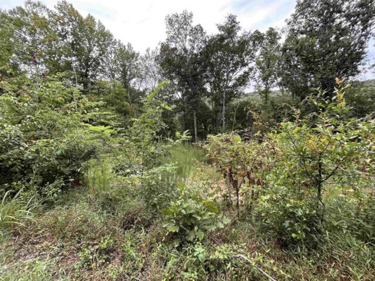 Picture of Residential Land For Sale in Florence, Alabama, United States