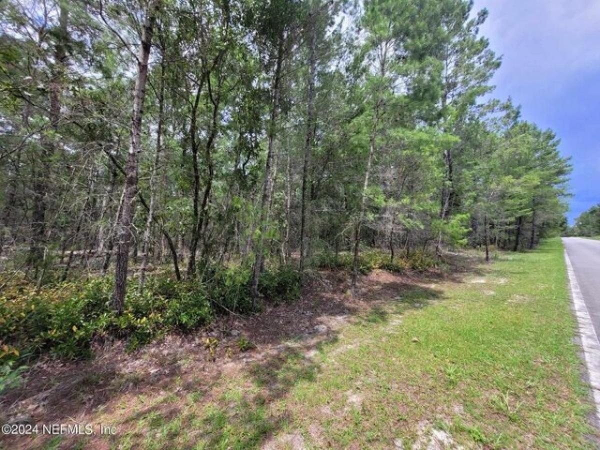 Picture of Residential Land For Sale in Pomona Park, Florida, United States