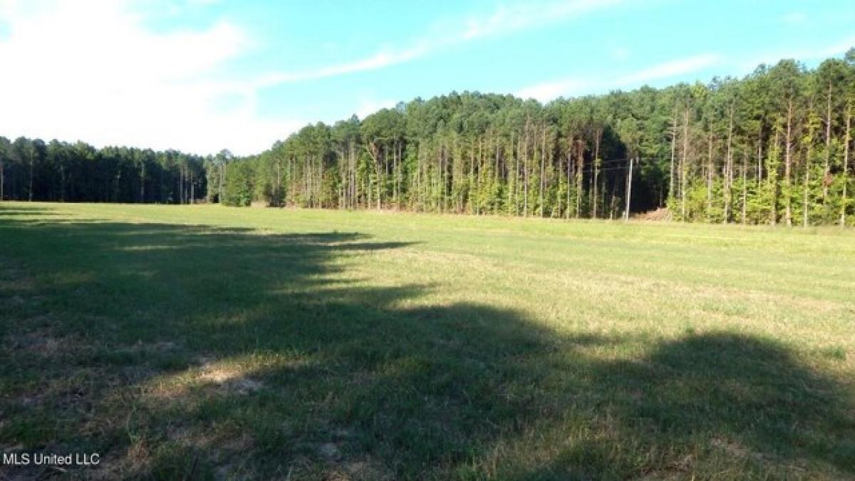 Picture of Residential Land For Sale in Bruce, Mississippi, United States