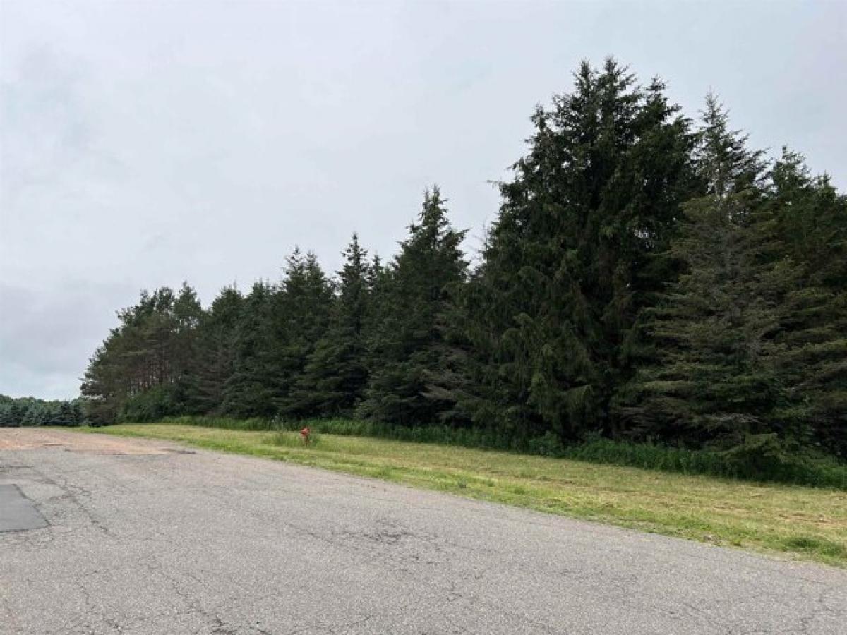 Picture of Residential Land For Sale in Wittenberg, Wisconsin, United States