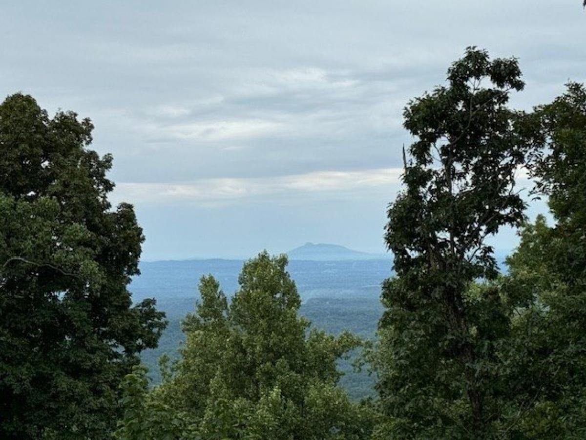 Picture of Home For Sale in Fancy Gap, Virginia, United States