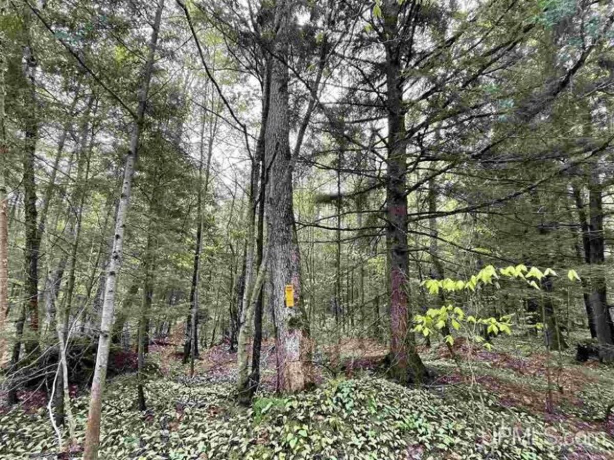 Picture of Residential Land For Sale in Munising, Michigan, United States