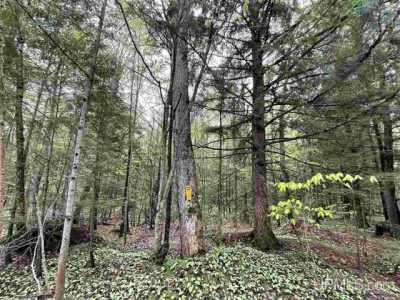 Residential Land For Sale in Munising, Michigan