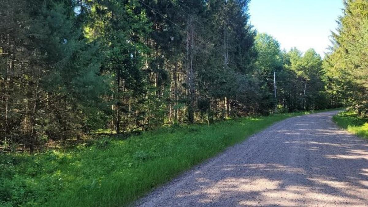 Picture of Residential Land For Sale in Lac du Flambeau, Wisconsin, United States