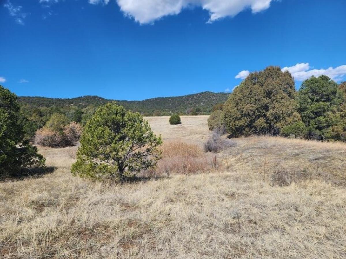 Picture of Residential Land For Sale in Trinidad, Colorado, United States