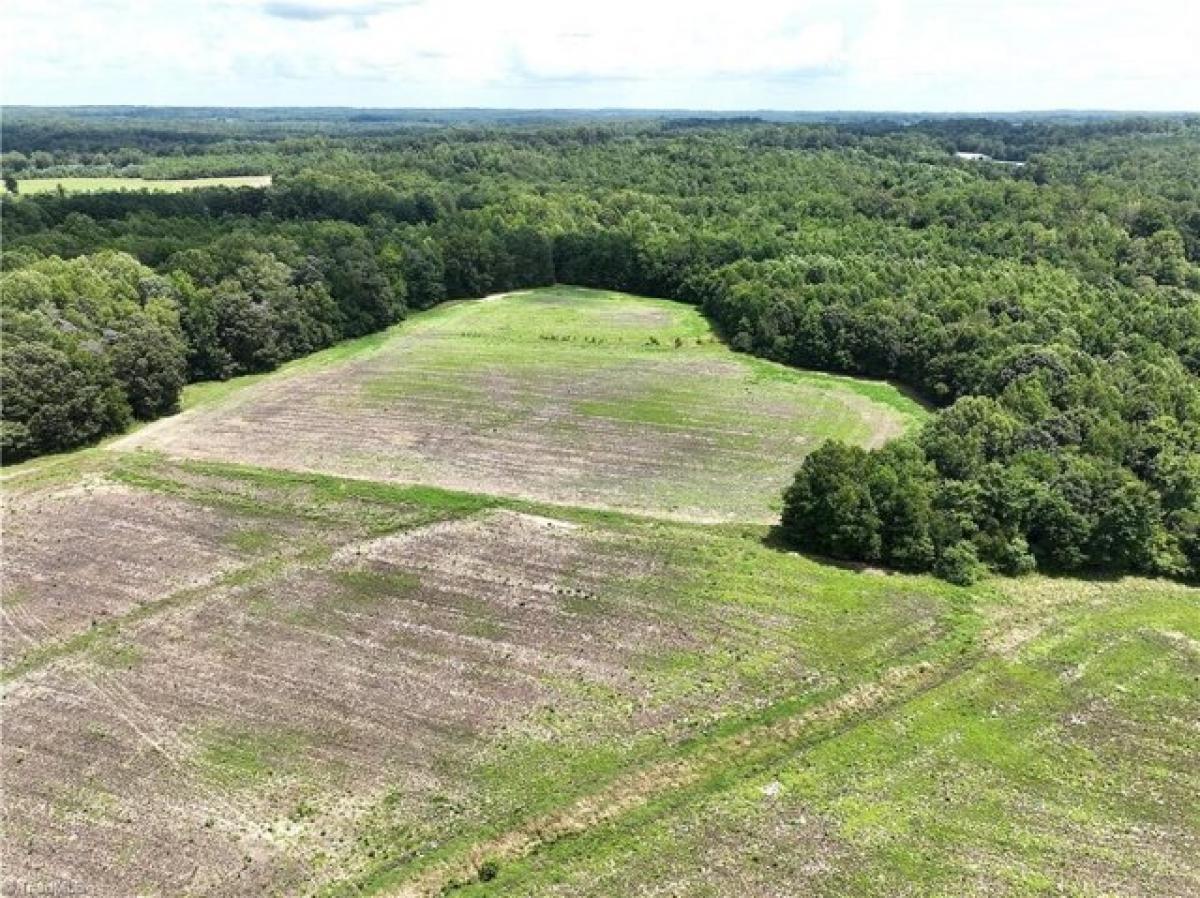 Picture of Residential Land For Sale in Reidsville, North Carolina, United States