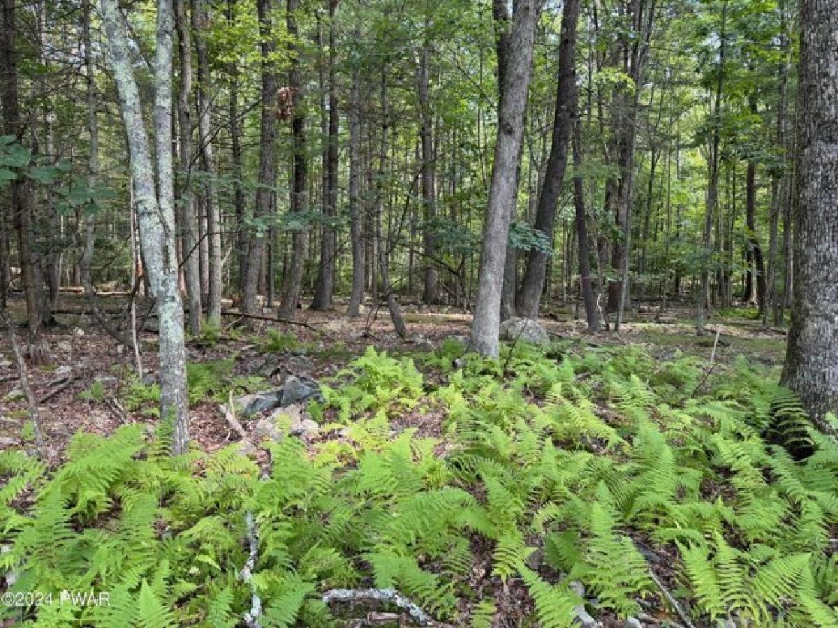 Picture of Residential Land For Sale in Hawley, Pennsylvania, United States