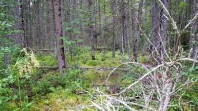 Residential Land For Sale in Merrill, Wisconsin