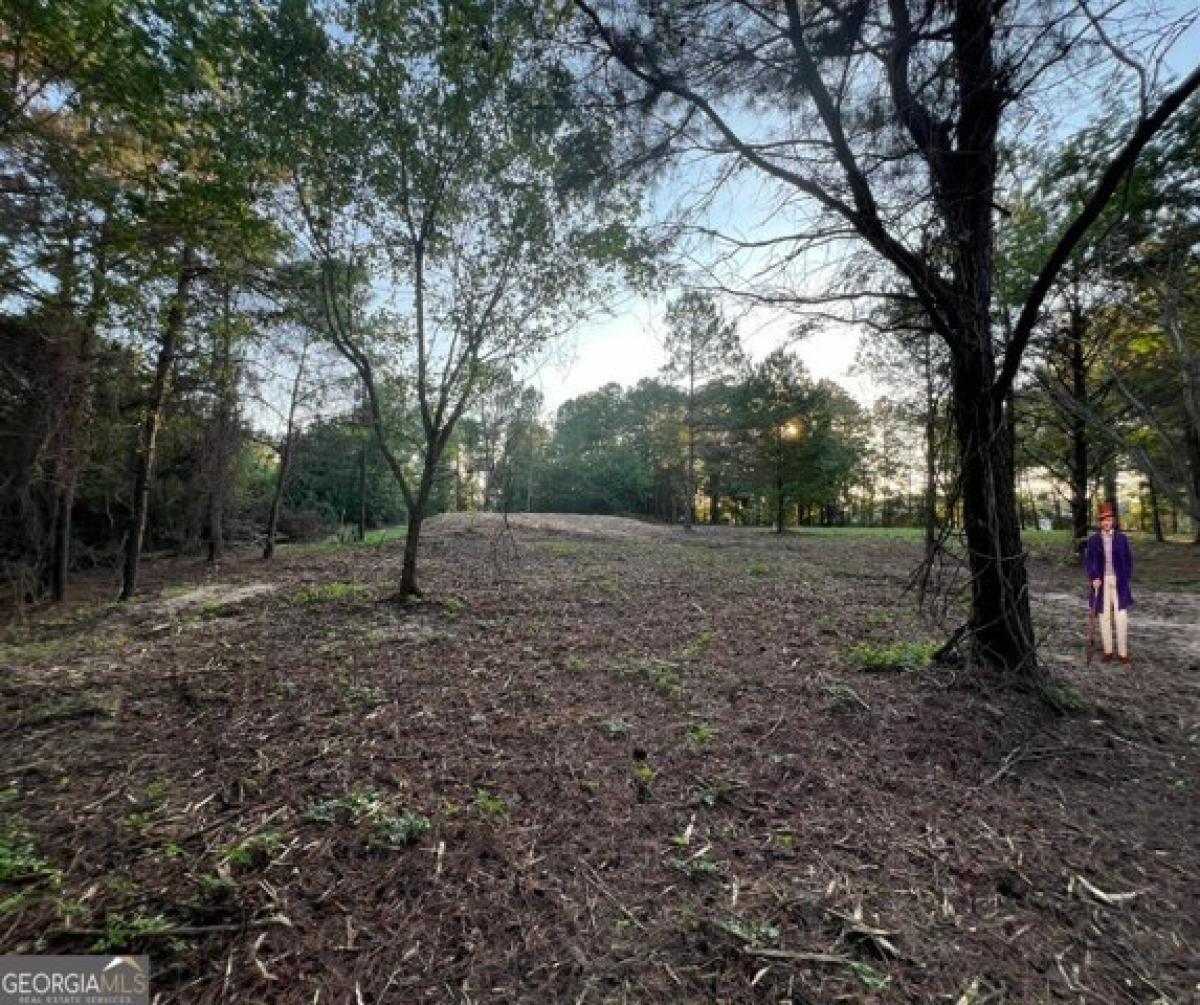 Picture of Residential Land For Sale in Macon, Georgia, United States