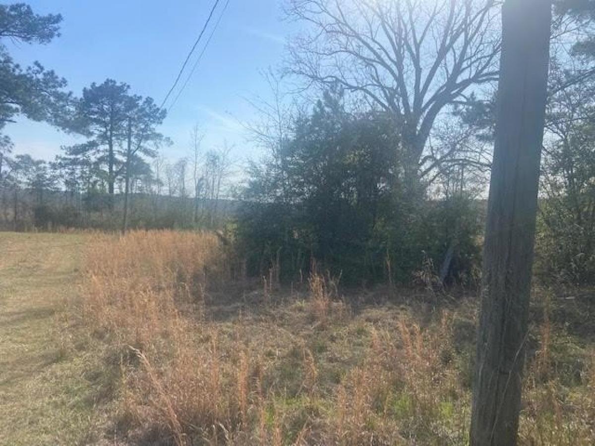 Picture of Residential Land For Sale in Waynesboro, Mississippi, United States