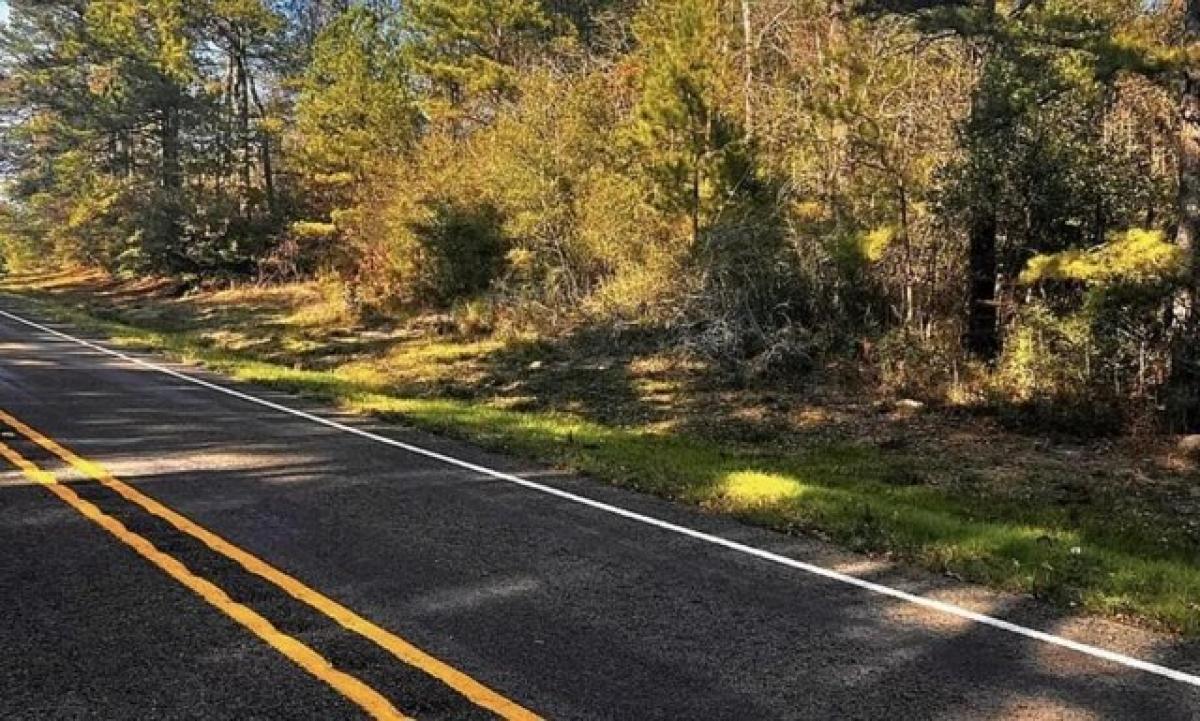 Picture of Residential Land For Sale in Wiergate, Texas, United States