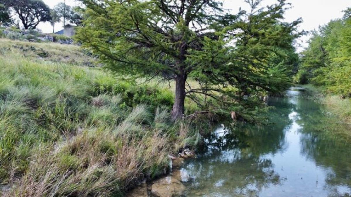 Picture of Home For Sale in Medina, Texas, United States