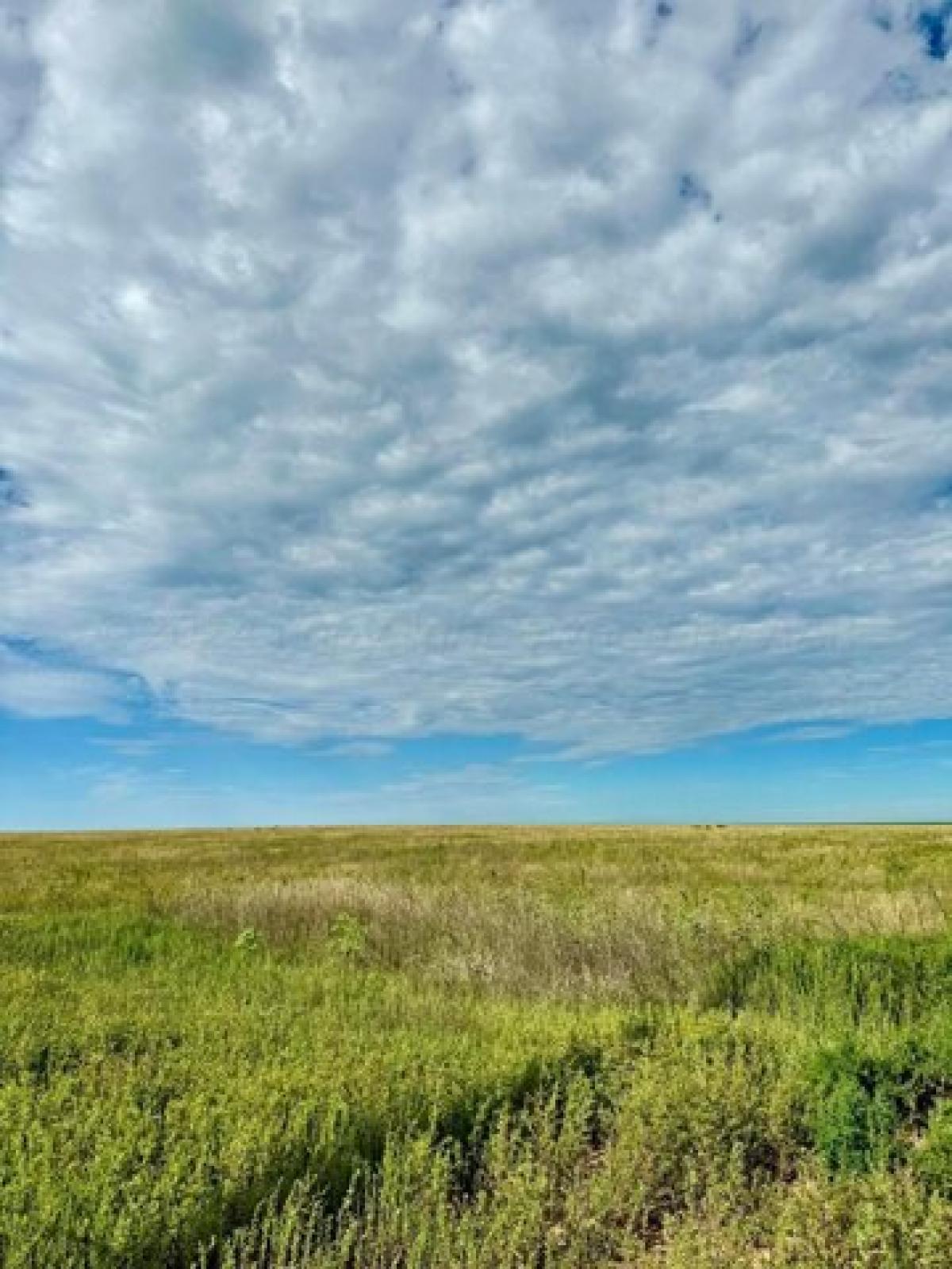 Picture of Residential Land For Sale in Stratford, Texas, United States