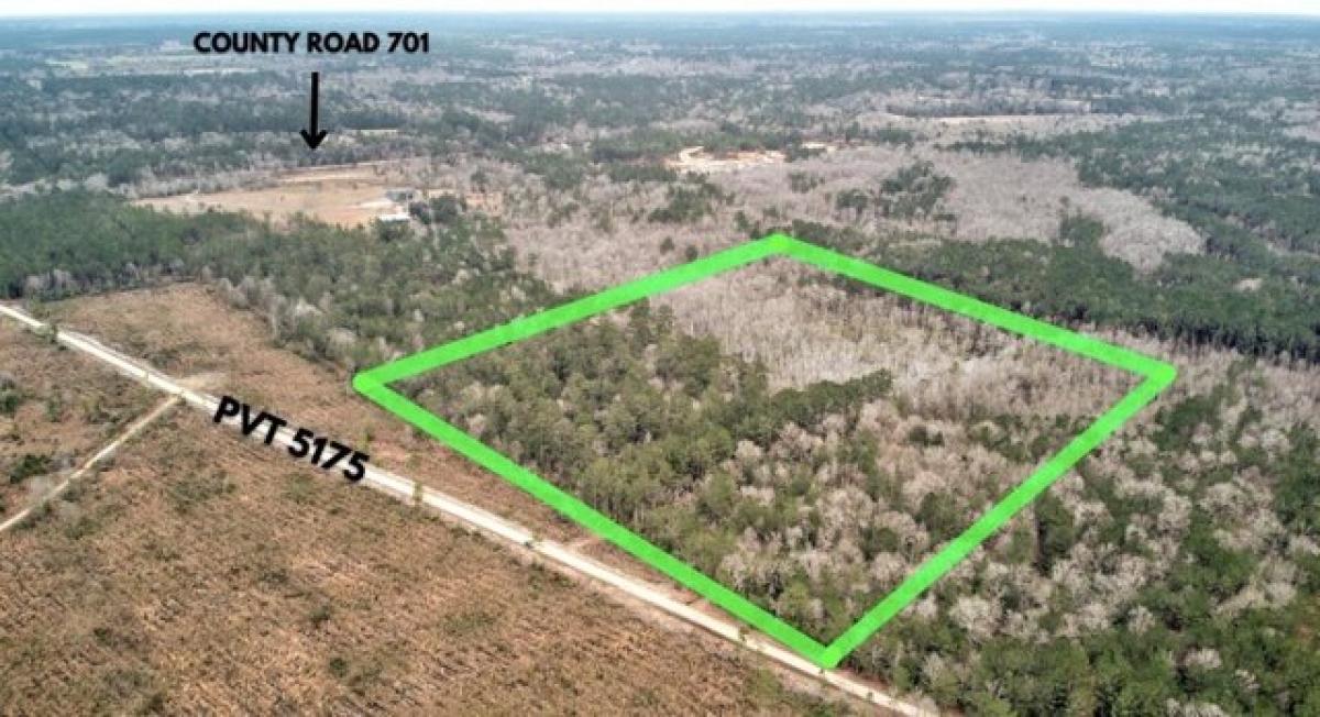 Picture of Residential Land For Sale in Buna, Texas, United States