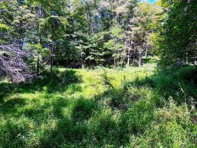 Residential Land For Sale in Whitetop, Virginia