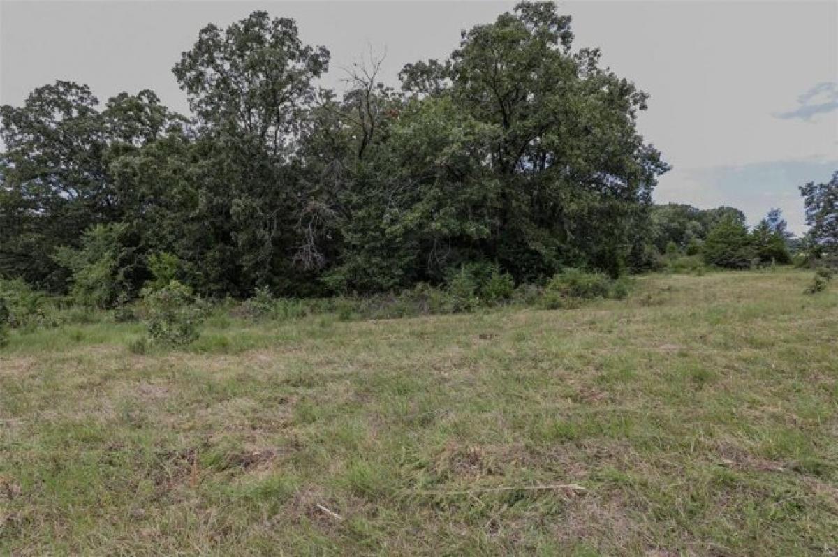 Picture of Residential Land For Sale in Leslie, Missouri, United States