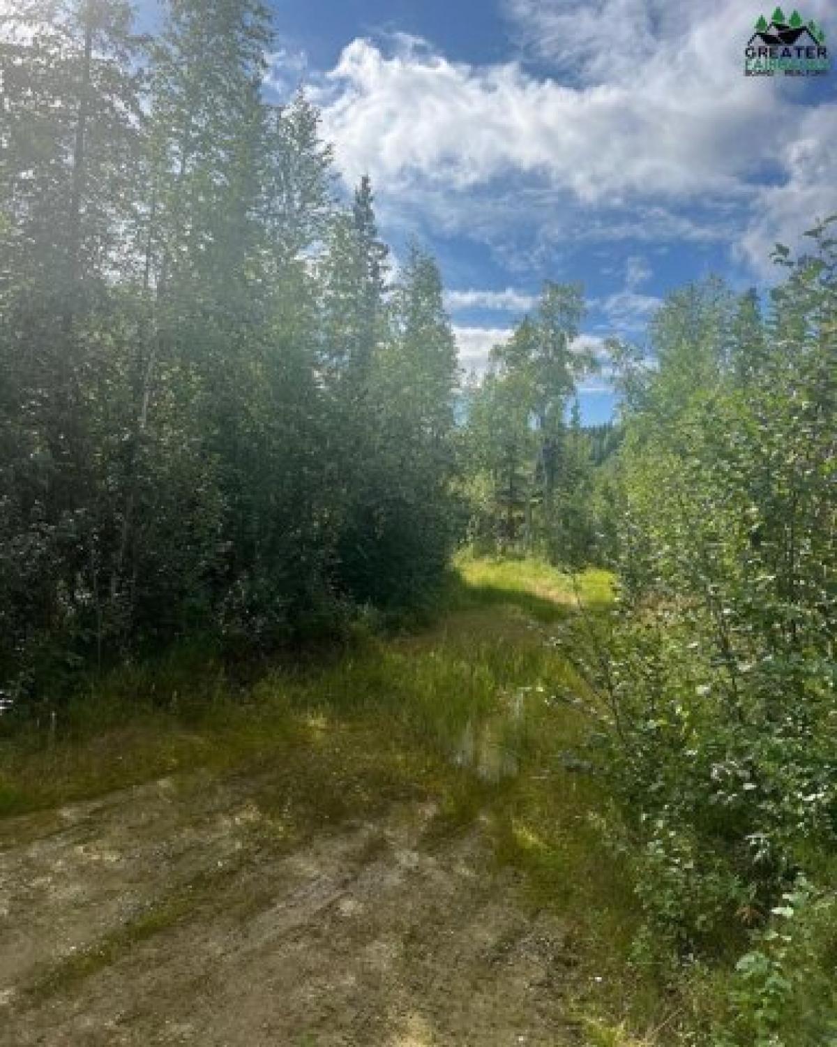 Picture of Residential Land For Sale in Fairbanks, Alaska, United States