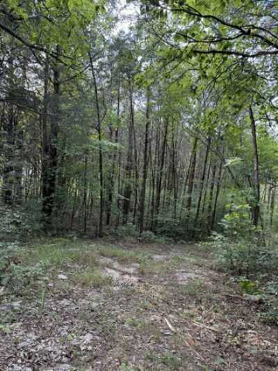 Residential Land For Sale in College Grove, Tennessee